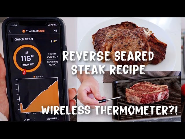 MeatStick MiniX Set | Wireless Meat Thermometer with Bluetooth | 260ft  Range | for Kitchen, Air Fryer, Deep Frying, Oven, Sous Vide, BBQ, Grill
