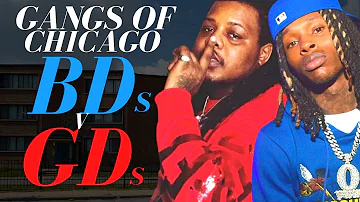 Gangs of Chicago - BDs v GDs