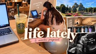 life lately at 5 months pregnant ☕️ | accounting school, Vienna + organ screening