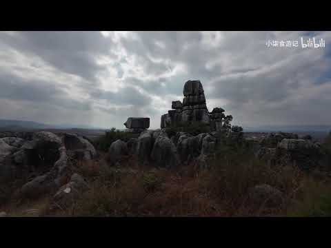 30云南农村石林彝族年猪宴现场制作12小时沉浸式记录一只500斤猪转变为 02