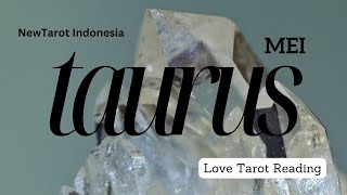 TAURUS LOVE 'Sebuah Permintaan Maaf?!'