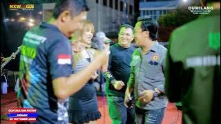 MEMORY BERKASIH MAY FEBRIAN - NEW AGS GRESS MUSIC - ANNIVERSARY KE-71 BRAVO JATENG & DIY - DEMAK