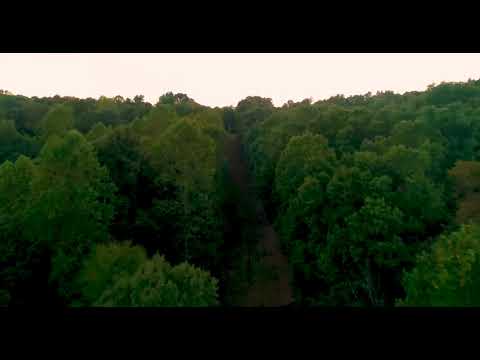 1095 Little Leatherwood Rd, Vanleer, TN home video tour