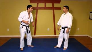 Shorin Ryu Pinan Shodan karate Applications screenshot 5