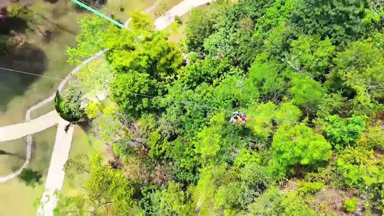 Zip Lining Through Belize’s Jungle Is Unreal