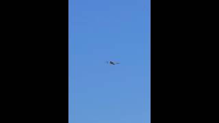 Drone Perv. NO DRONES over state beaches #beach #californiabeach #malibucoast #malibubeaches