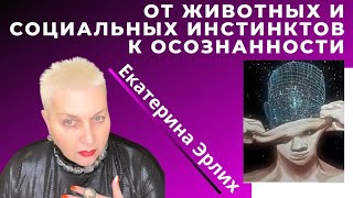 видео: ОТ ЖИВОТНЫХ И СОЦИАЛЬНЫХ ИНСТИНКТОВ  В ОСОЗНАННОСТЬ. Екатерина Эрлих. картинка: ОТ ЖИВОТНЫХ И СОЦИАЛЬНЫХ ИНСТИНКТОВ  В ОСОЗНАННОСТЬ. Екатерина Эрлих.