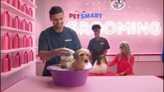 PetSmart - Anything for Pets Grooming