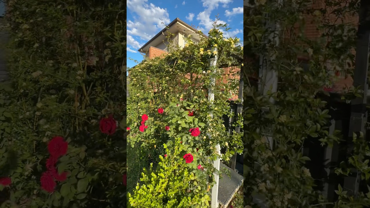 Новый сезон, новые простыни – весенние цветочные мотивы! 