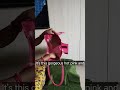 perfect for daily use#srilalithajutebags#digitalmahila#saynotoplastic#gifting#dailyritualsday97
