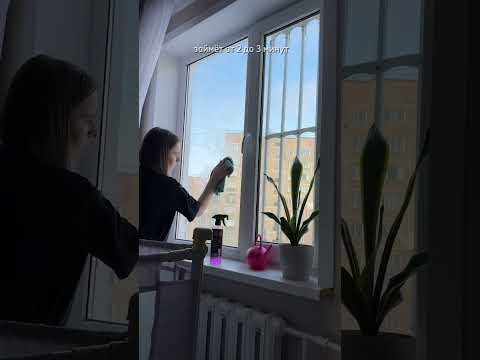 ✅WБ 115500239