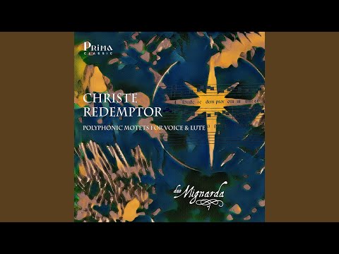 Mignarda - Recercar (Instrumental Lute)