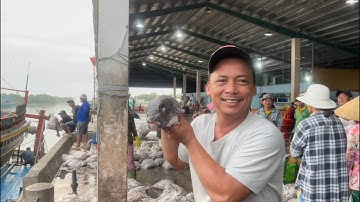 Cá mặt cú mèo , tôm tích rằn ri lạ -  Ghe anh hai đi biển bốn tháng vô càng cá Vàm Láng bán Hải Sản.