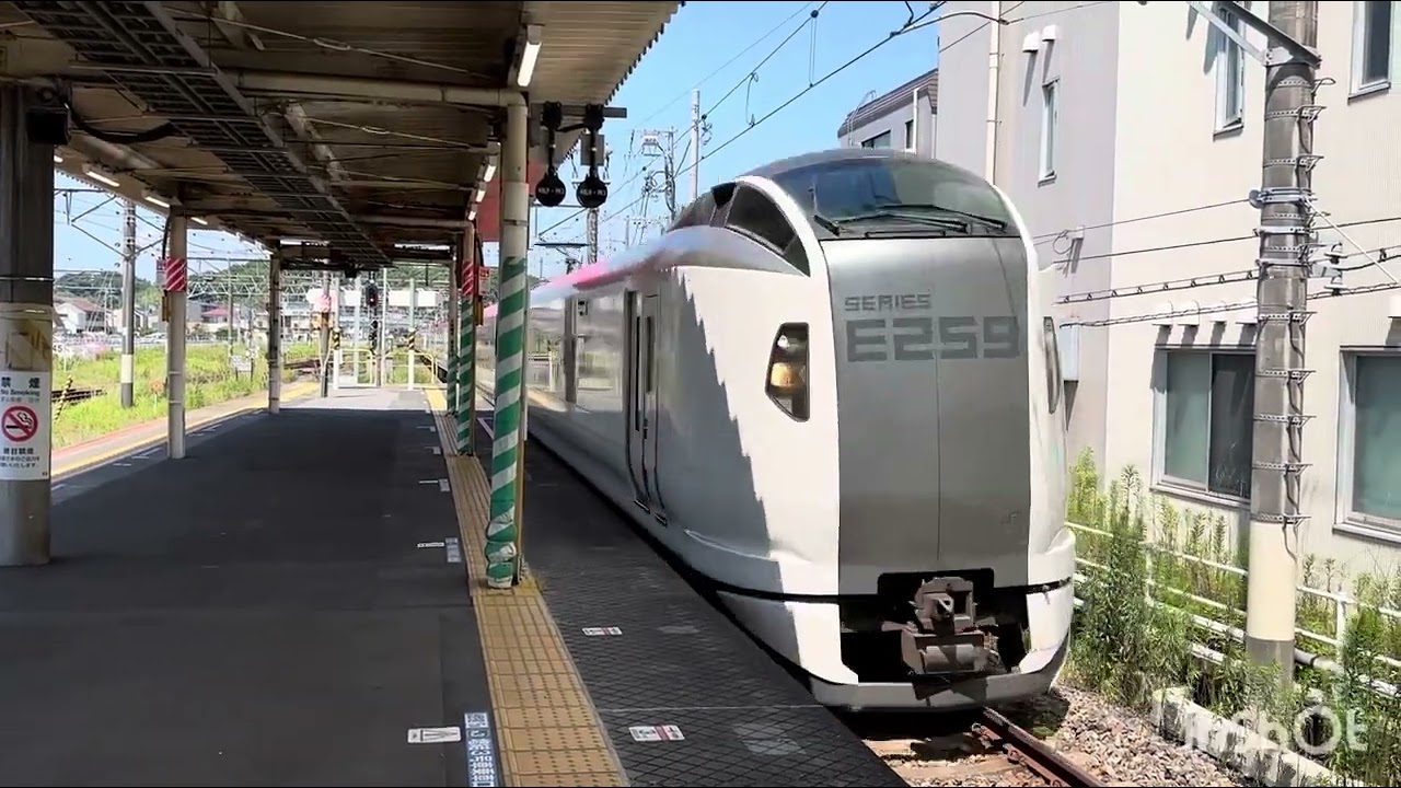 e259系成田エクスプレス