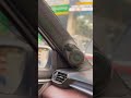 WE MADE THIS GRAND VITARA'S  PILLAR PODS.