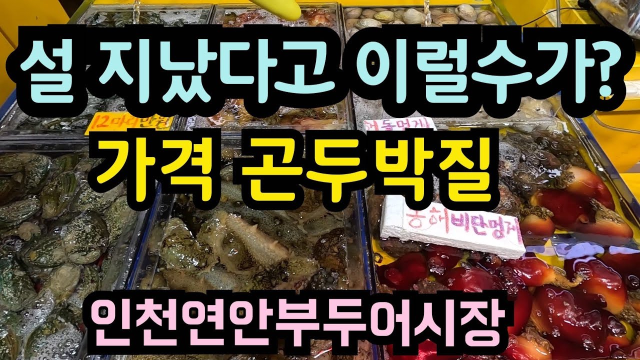 새조개 kg 15,000원 하락/싱싱한 해산물 천국/연안부두 어시장