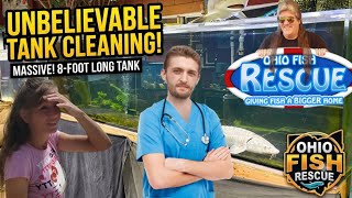 Tank cleaning, Future plans, koi pond, more