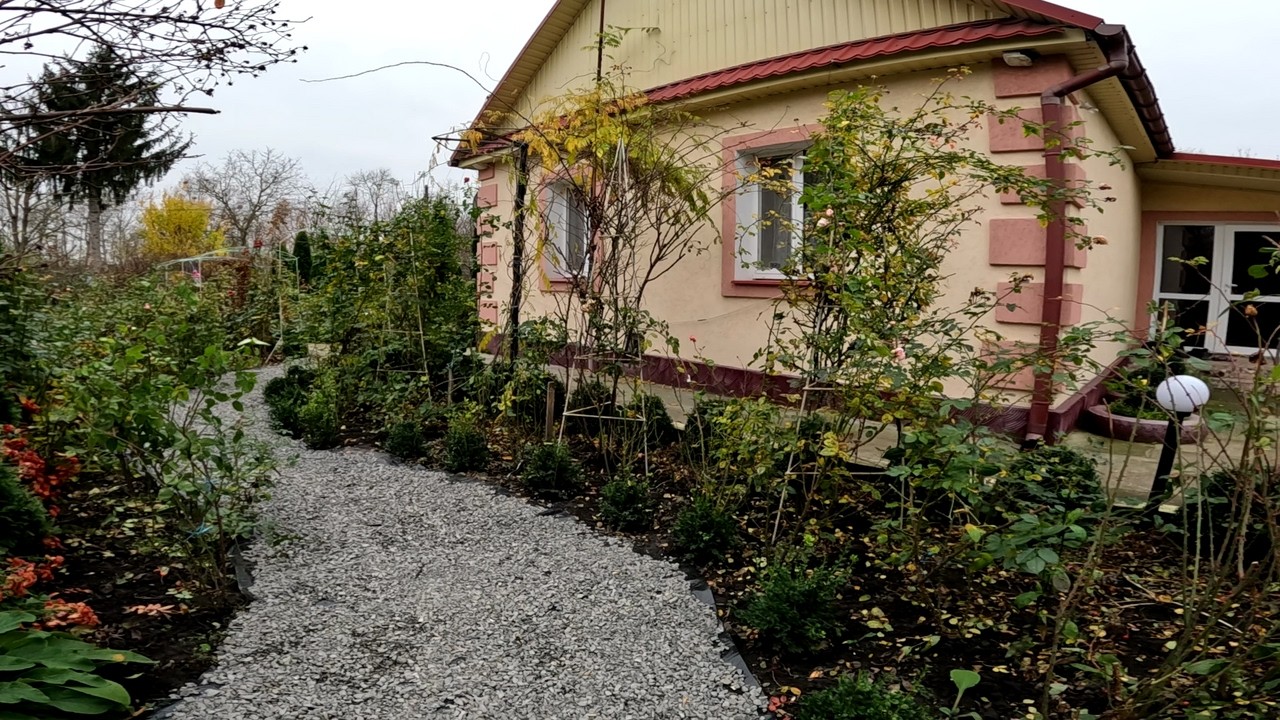 НАРЕШТІ ЗРУЧНО! Ідеальна підготовка троянд до зими та 