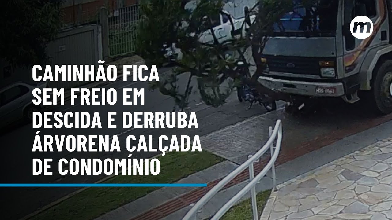 Sem Freio Caminhão fica sem freio em descida e derruba árvore na calçada de ...
