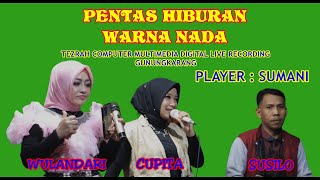 PENTAS HIBURAN WARNA NADA PIMPINAN-SUMANI BIDUAN : WULANDARI DAN CUPITA -DESA GUNUNGKARANG RT.2 RW.1