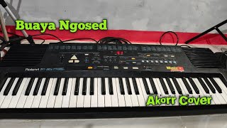 Buaya Ngosed Akor Cover Roland E16 Musik Sandiwaraan