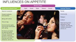 Nutrition   Chap 01b   Food Choices and Human Health 20200824