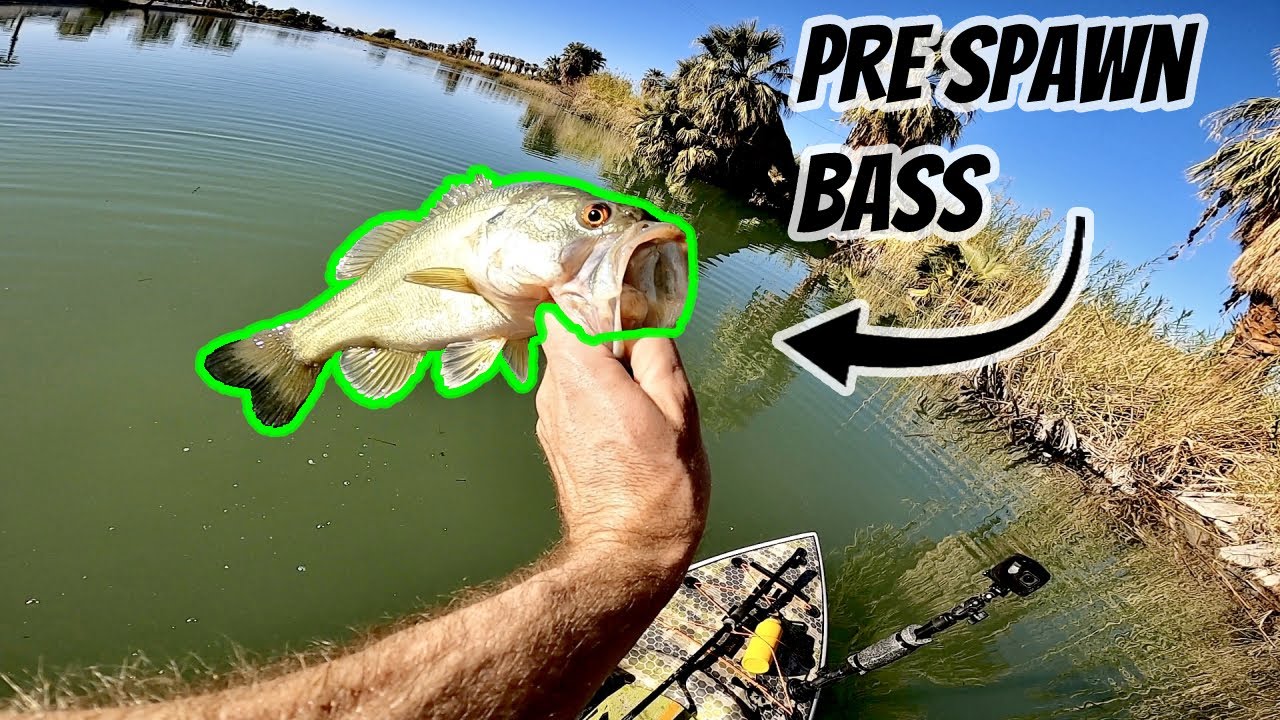 Mend-it FAQ – Central Coast Bass Fishing