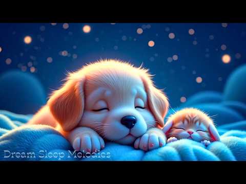 (No Ads) Sleep Instantly 😴 Deep Healing Music for Anxiety Relief, Peaceful Mind & Rest