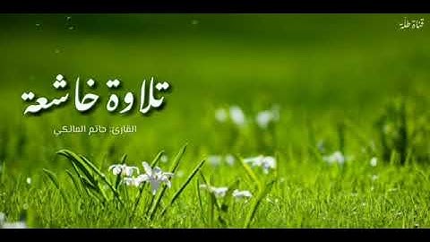 تلاوة خاشعة - القارئ: حاتم المالكي