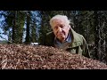 Bbc  attenborough and the empire of the ants 2017 1080p