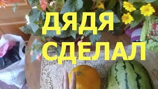 видео: ДЯДЯ ПРИВЁЗ АРБУЗ И ДЫНЮ, СДЕЛАЛ ВИЛКУ ПЕРЕНОСКИ, ПЛИТКУ ОБРЕЗАЛ, СДЕЛАЛ ПОРОГ. ЕМ МАЛИНУ ГОРСТЯМИ ! картинка: ДЯДЯ ПРИВЁЗ АРБУЗ И ДЫНЮ, СДЕЛАЛ ВИЛКУ ПЕРЕНОСКИ, ПЛИТКУ ОБРЕЗАЛ, СДЕЛАЛ ПОРОГ. ЕМ МАЛИНУ ГОРСТЯМИ !