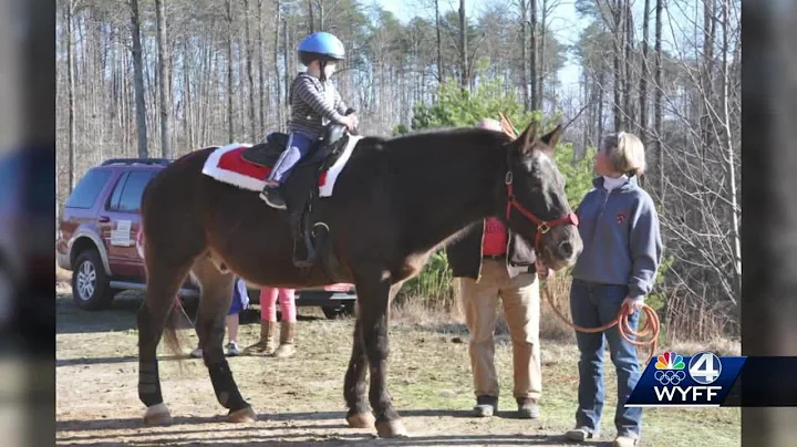 Reindeer rides offered to support local nonprofit