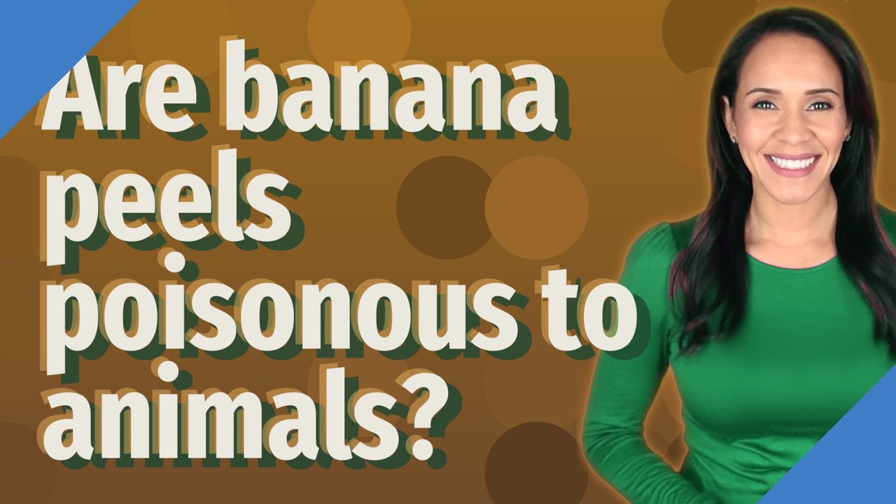 Are Banana Peels Bad For Animals?