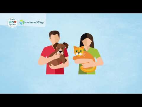 Βίντεο: Πληροφορίες για τη φροντίδα των νεογέννητων κουταβιών