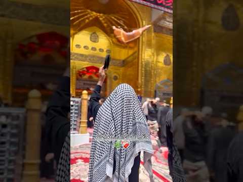 ماقصرت لاأبد فعلا كفو باسم الكربلائي ياأباالفضل Shortvideo 2025