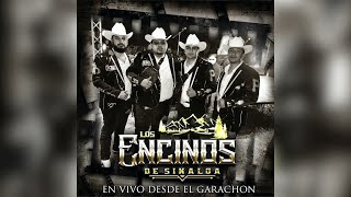 Video thumbnail of "Los Encinos De Sinaloa "La Madrina" 2021"