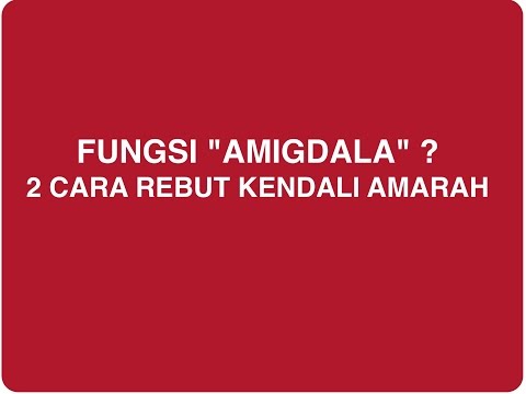 Kendali Amarah Pelajari Fungsi Amigdala (Bagian Otak)