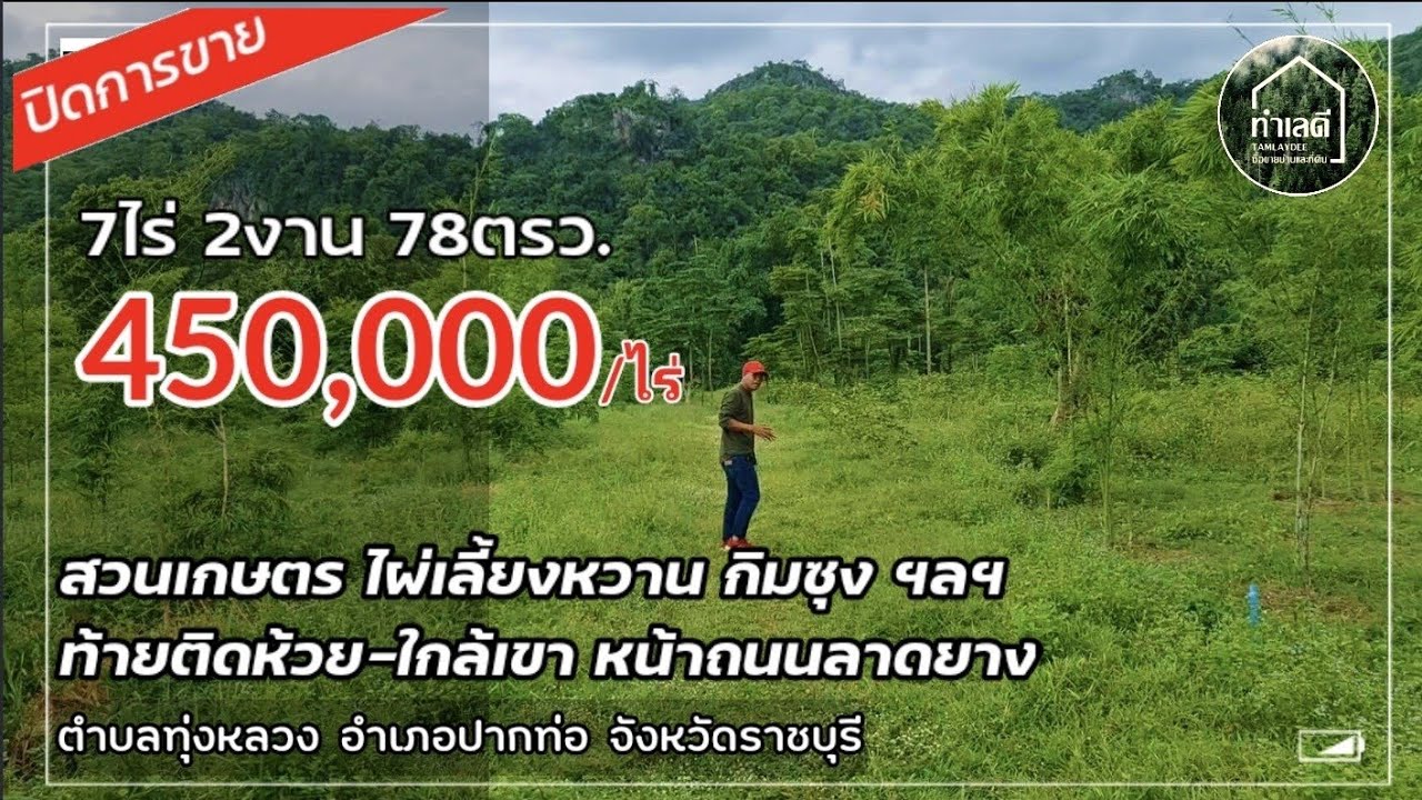 EP.1219 🔴 ปิดการขาย สวนเกษตรผสมผสาน ท้ายติดห้วย ใกล้เขา หน้าติดถนน เขตเทศบาลทุ่งหลวง ปากท่อ ราชบุรี