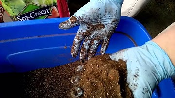 Tarantula Husbandry: Mixing Substrate for Moisture Dependent Species