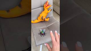 Whyyy? By Leisi Family