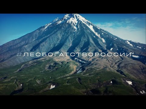 Видео: Завод 