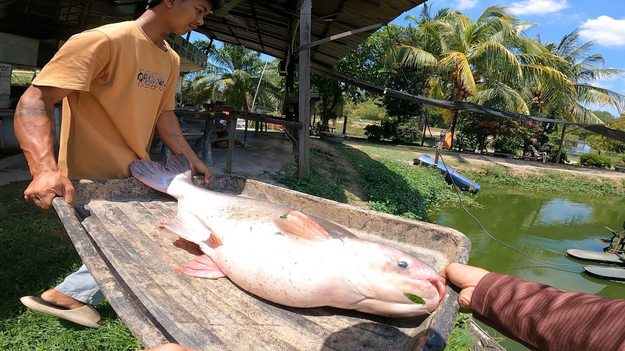 Layan patin di kolam Rozali bukit tambun