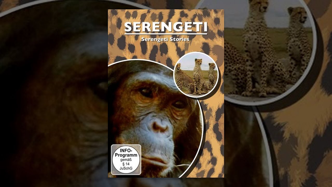 Serengeti Stories