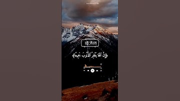 سعد الغامدي/لَا تَقْنَطُوا۟ مِن رَّحْمَةِ ٱللَّهِ/أيات من سورة الزمر﴿53﴾راحة النفسية ❄️🌺💯✍️❄️💦