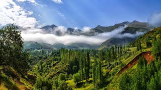 [Relaxing Music] W.A.Mozart - Sonata for Two Pianos in D major, K.448 1. Allegro con spirito