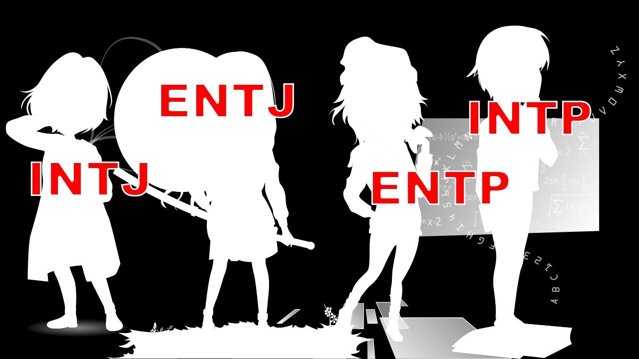 I Paid A Professional Artist To Redesign The NT Myers Briggs ...