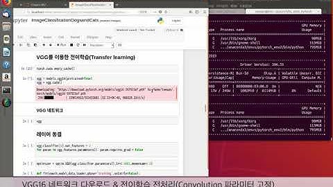 PyTorch로 시작하는 딥러닝: 5장. 컴퓨터 비전 딥러닝 - VGG16 모델 데모