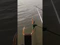 Quick tying process of fishing hook