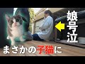 [400万回再生]娘に内緒で子猫を飼ってたら号泣した