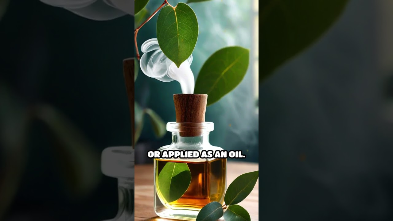 Breathe Easy: Herbal Remedies for Lungs